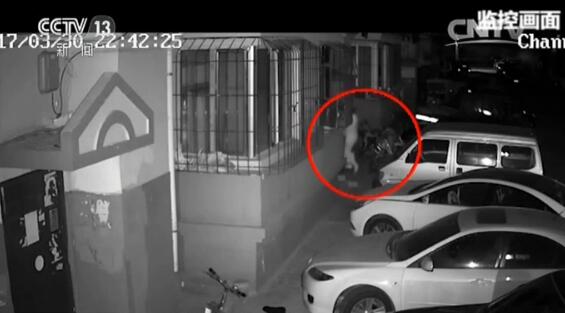 Suspect under surveillance